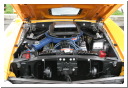 BacN70-1.jpg