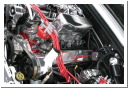 IMG_0828.JPG
