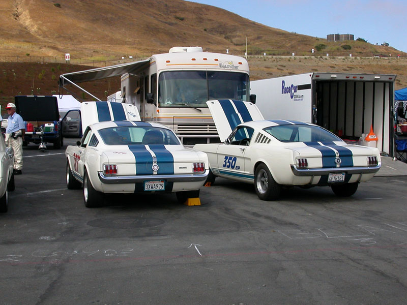 Gullery-MiniNatsXX-08