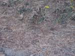 QuinnPics-035