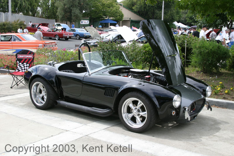 Cobra01