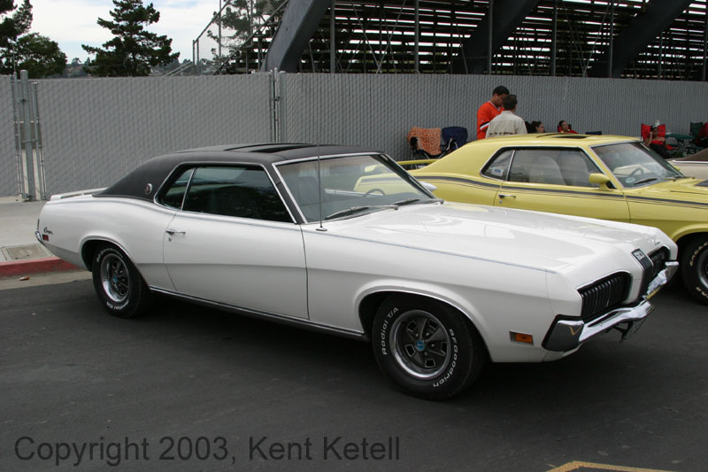 Cougar01