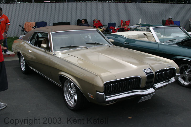 Cougar03