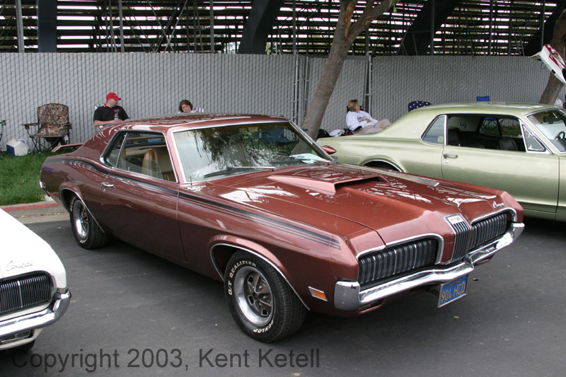 Cougar08
