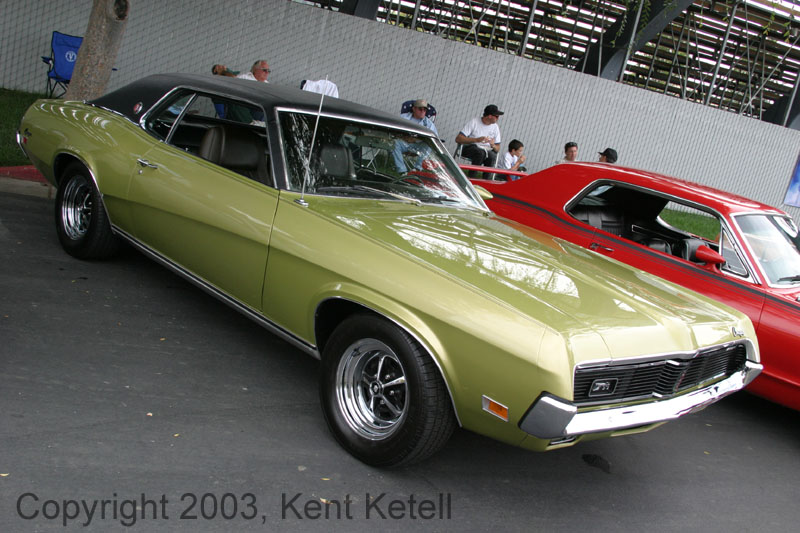 Cougar12
