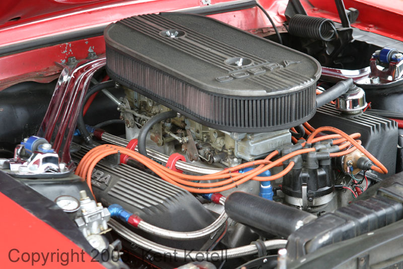 Cougar14
