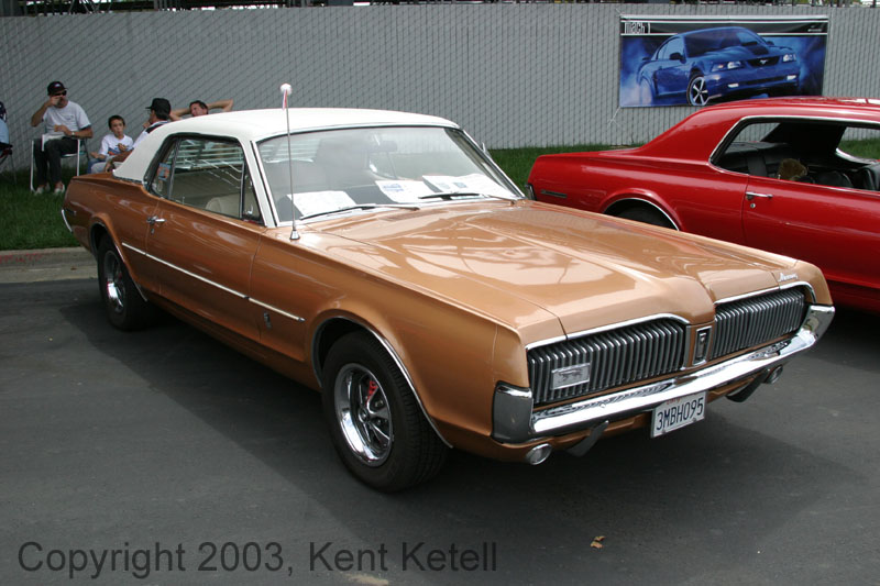 Cougar15