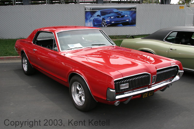 Cougar16