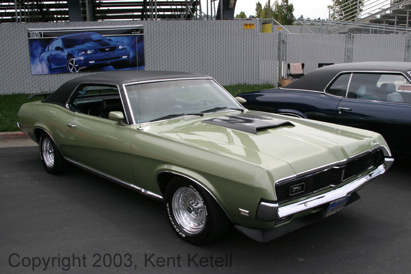 Cougar17