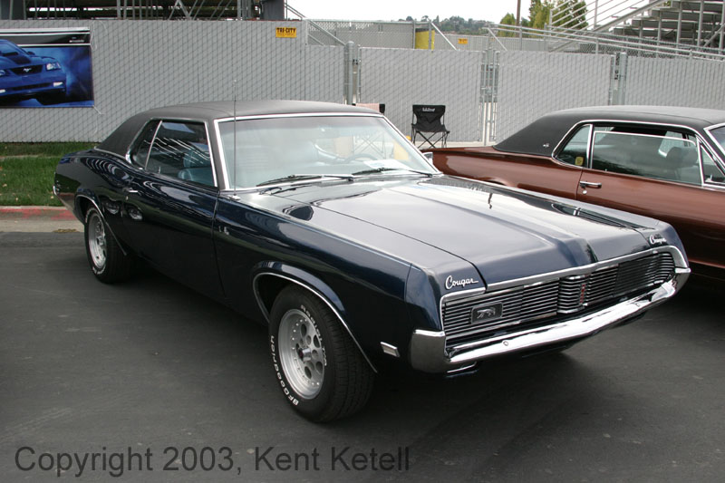 Cougar18