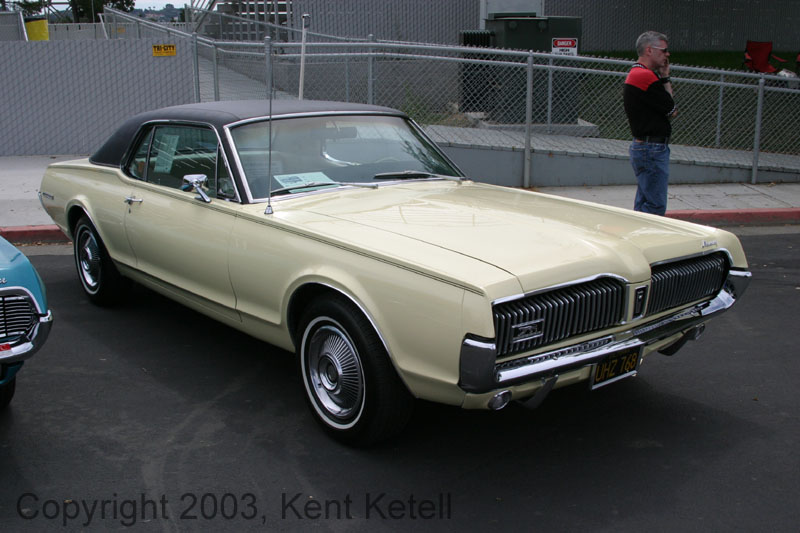 Cougar21