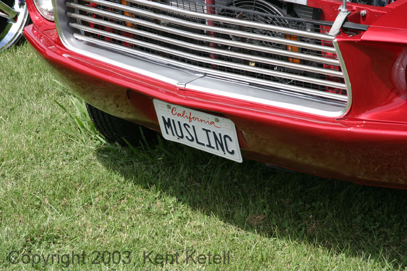 MusLinc2