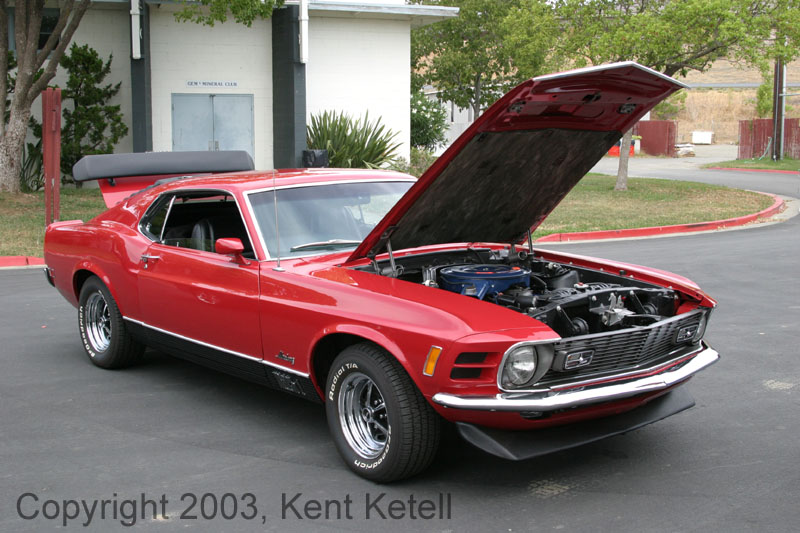 Mustang005