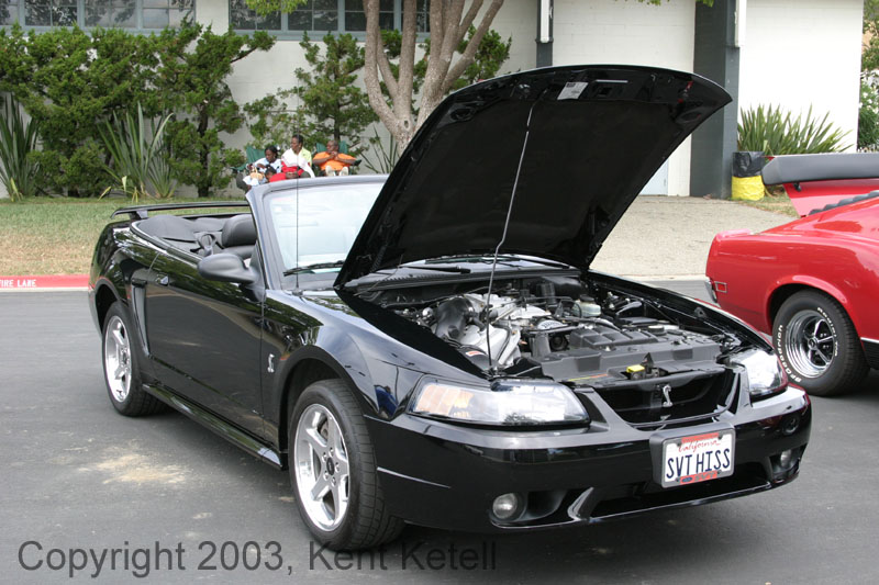 Mustang006