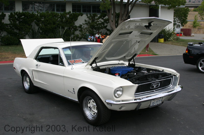 Mustang007