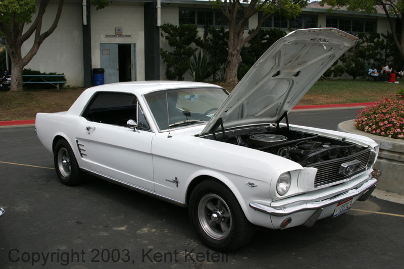 Mustang008