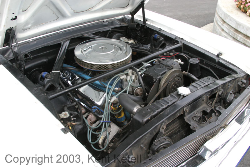 Mustang009