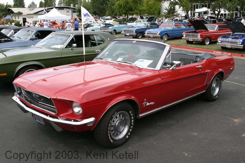 Mustang011