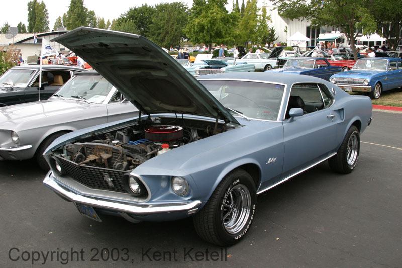 Mustang013