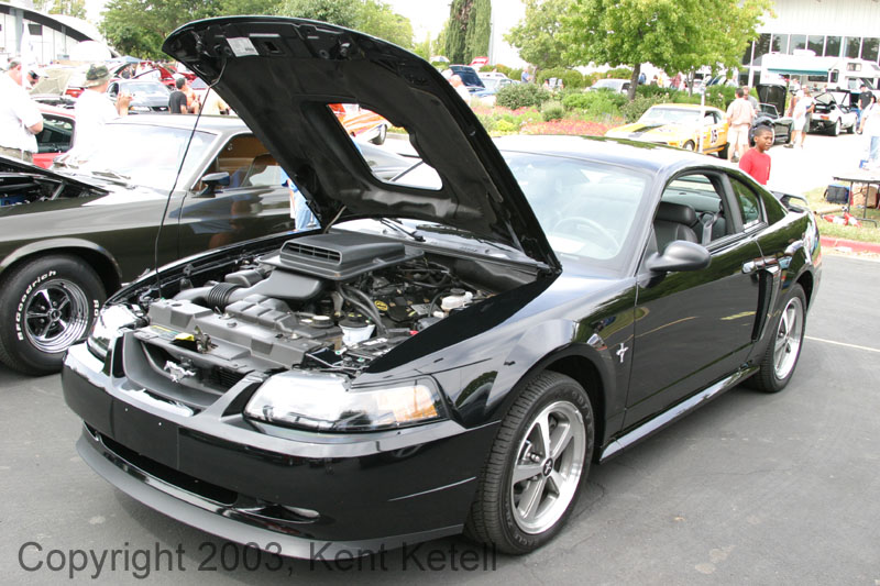 Mustang015