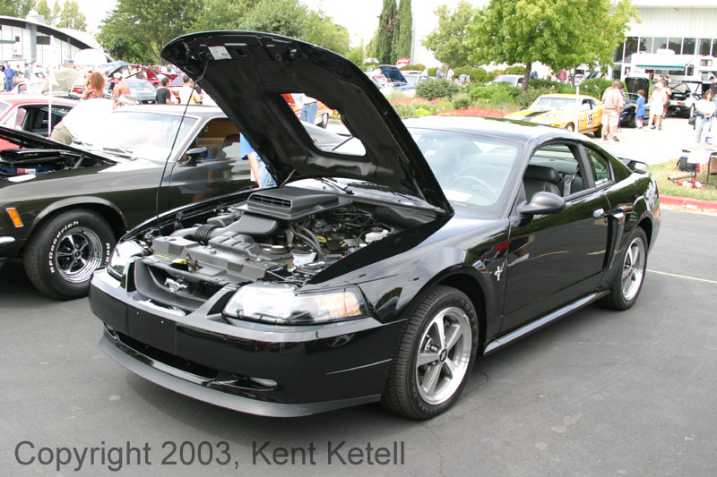 Mustang016