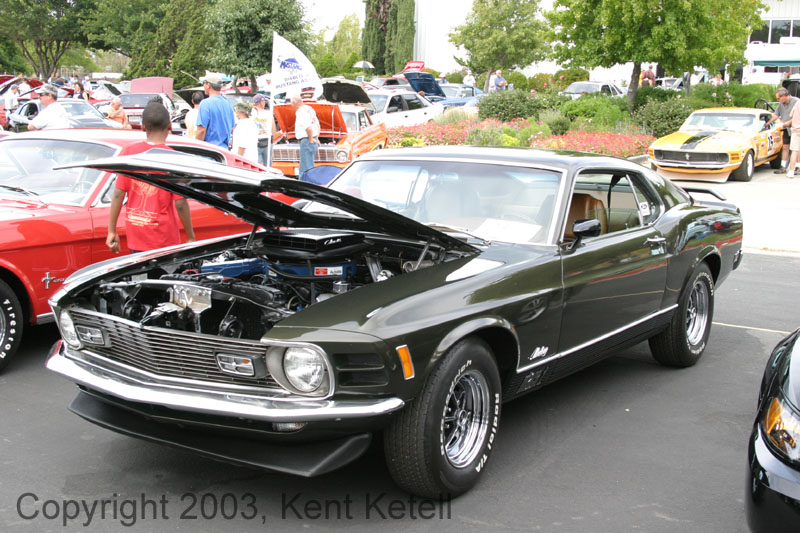Mustang017