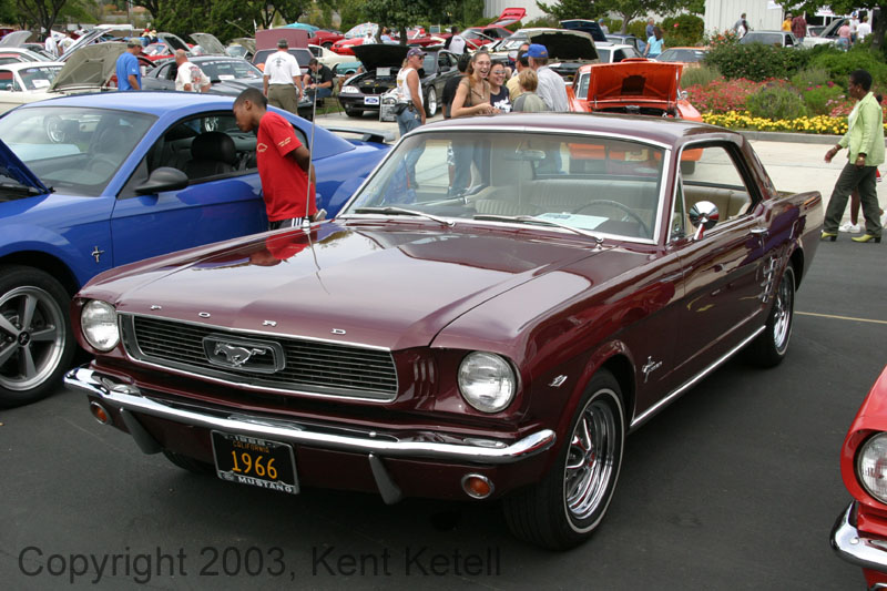 Mustang019