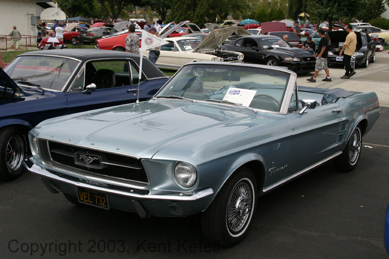 Mustang021