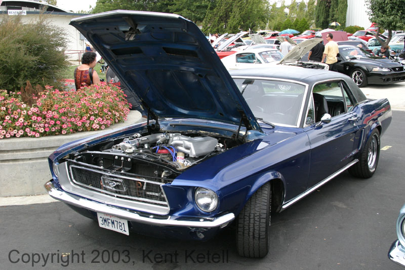 Mustang022