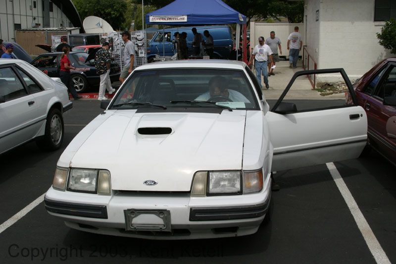 Mustang033