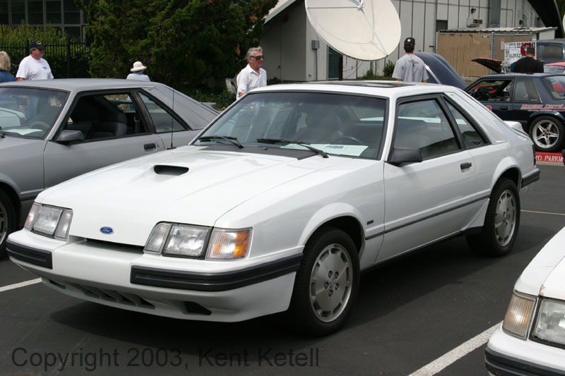 Mustang034