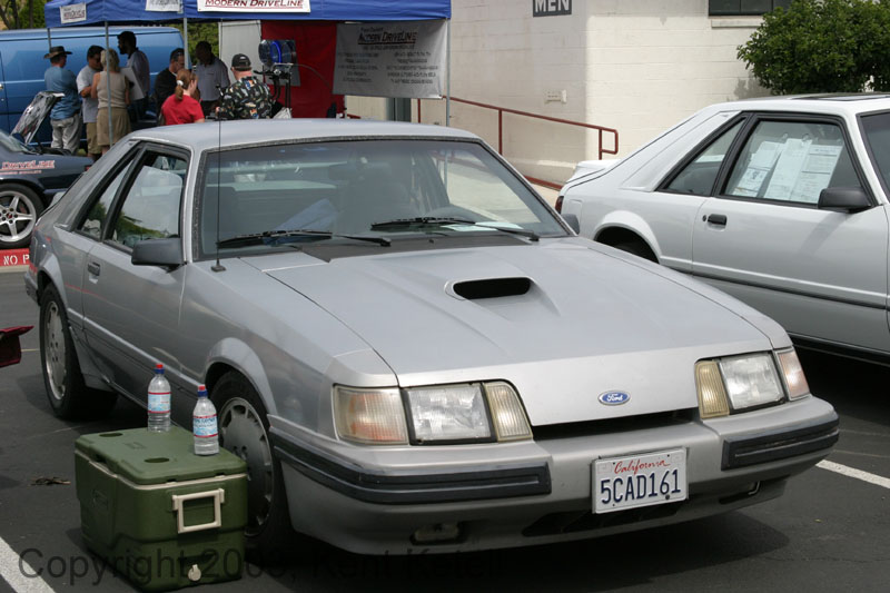 Mustang035