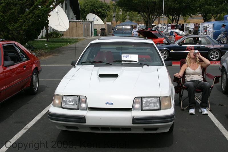 Mustang037