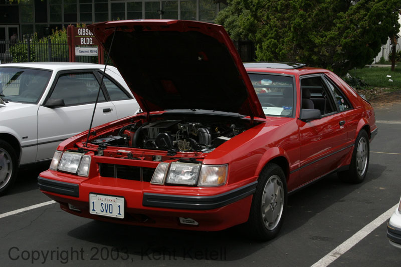 Mustang038