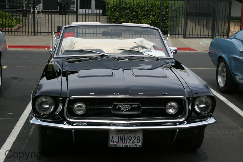 Mustang044