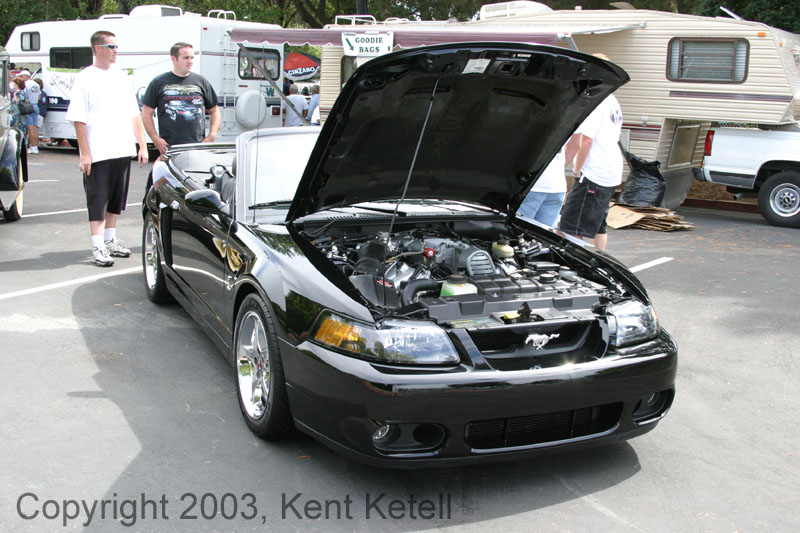 Mustang053