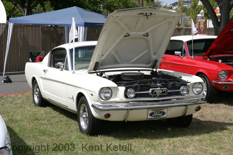 Mustang060