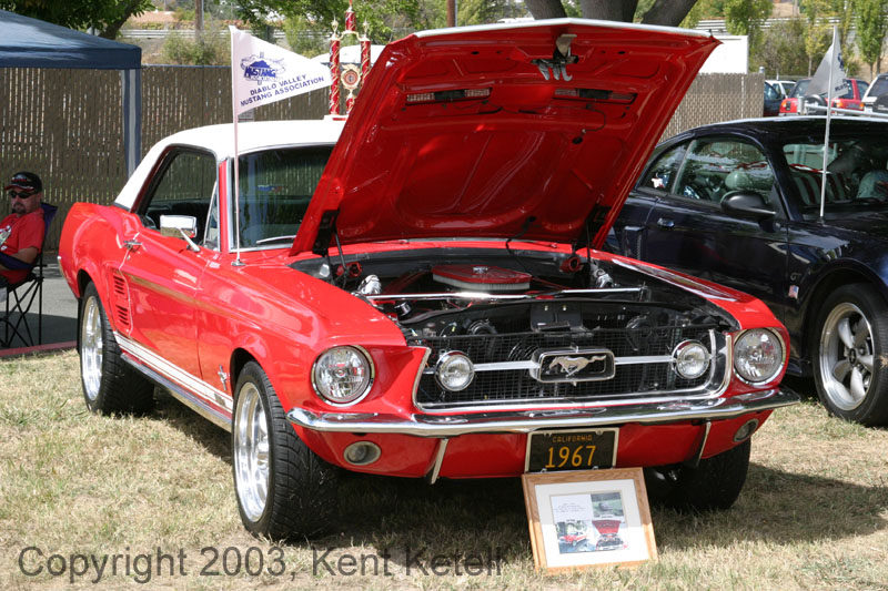 Mustang061