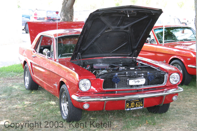 Mustang065