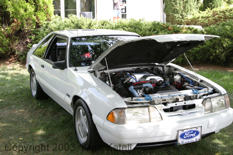 Mustang071