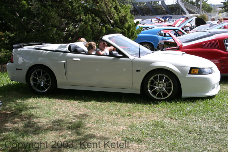 Mustang073