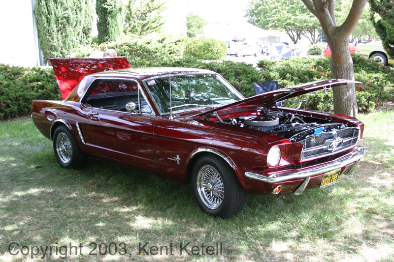 Mustang074