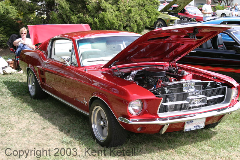 Mustang076