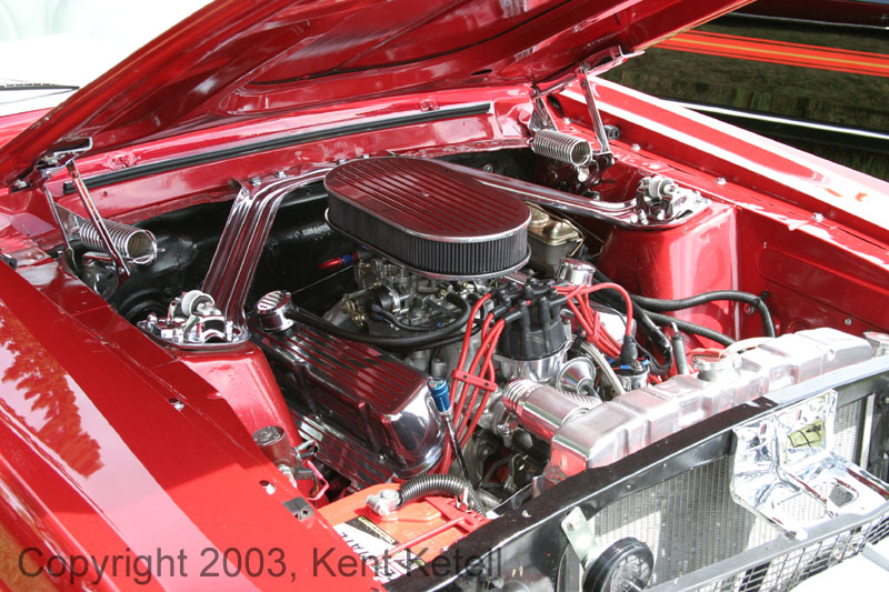 Mustang077