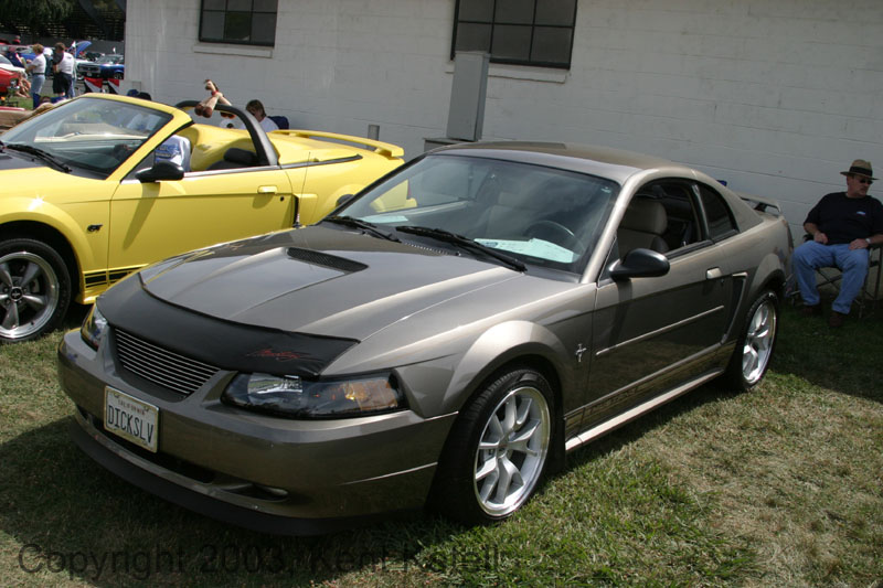Mustang082