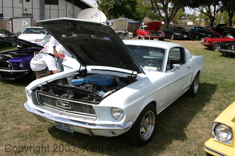 Mustang084