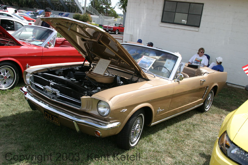 Mustang085