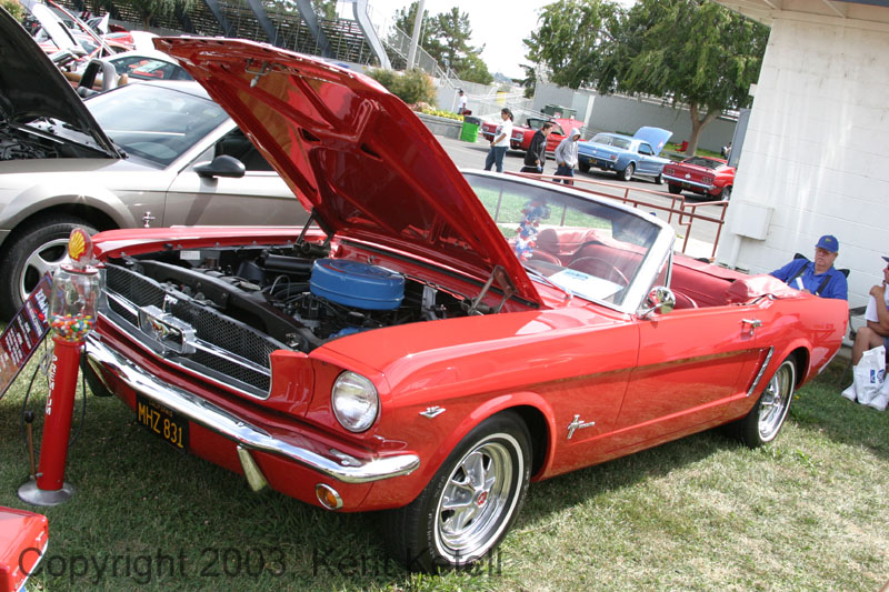 Mustang087
