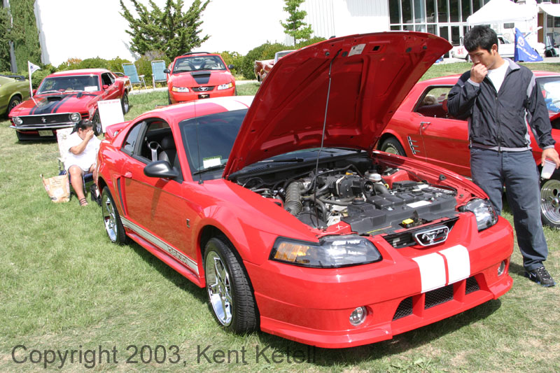 Mustang088