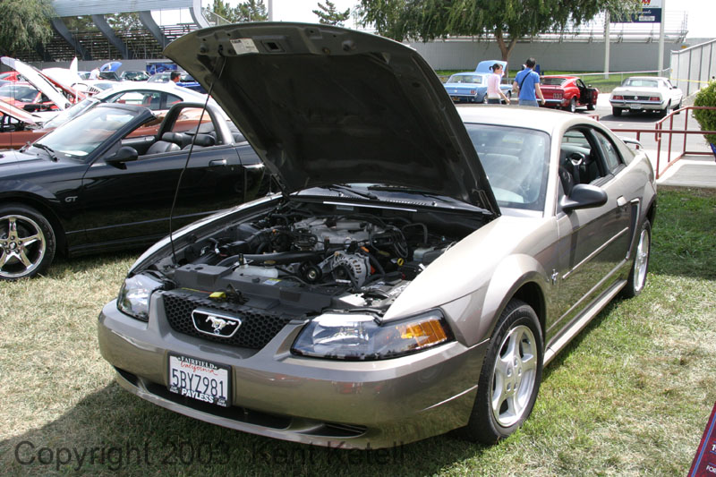 Mustang090